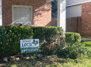 Elizabeth P.'s Bush Trimming service result