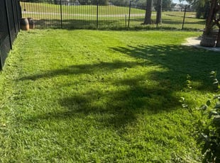 Nicole W.'s turf care service result