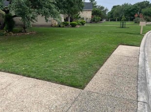 Mitalene T.'s lawn service service result