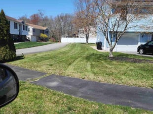 Kathy W.'s lawn care service result