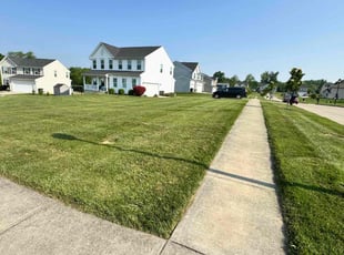 Rob C.'s yard care service result