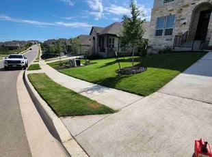 Cora R.'s turf maintenance service result