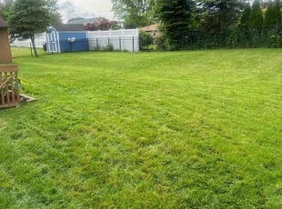 Sylvia B.'s lawn maintenance service result