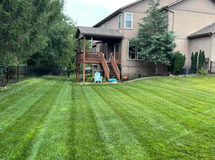 Alexander S.'s lawn care services service result