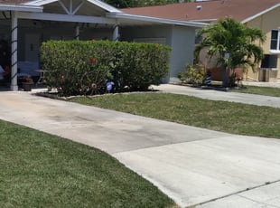 Tracey H.'s Bush Trimming service result