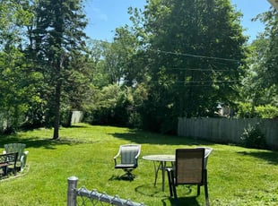 Michael F.'s grass maintenance service result