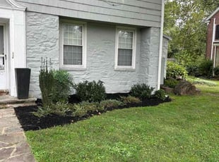 Mariah R.'s grass maintenance service result