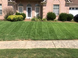 Randy W.'s lawn care service result