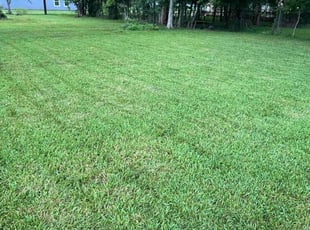 Juan C.'s lawn care service result