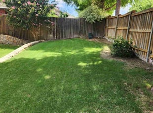 Melissa A.'s lawn care service result