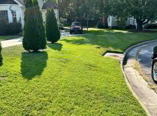 Nicholas K.'s lawn care services service result