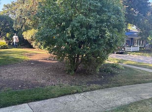 Mina G.'s grass cutting service result