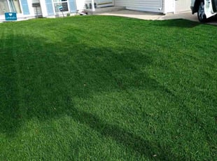 Brenda B.'s lawn care services service result