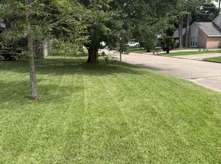 Briana K.'s grass maintenance service result