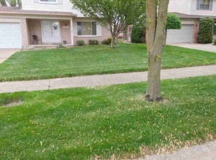 Clifford S.'s lawn care service result