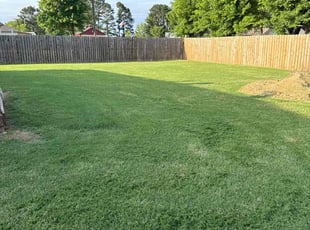 Heather C.'s lawn care service result