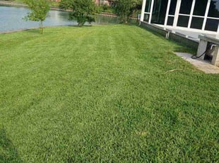 Tara W.'s lawn care service result