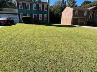 Sid D.'s lawn maintenance service result