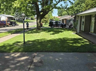 James P.'s lawn care service result