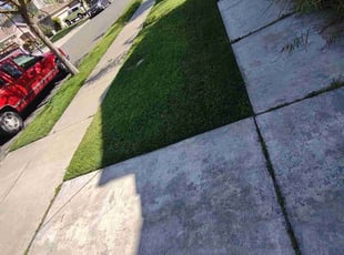 Steven L.'s turf maintenance service result