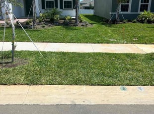 Vina N.'s lawn care service result