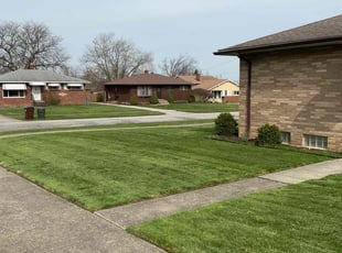 Sue G.'s turf care service result