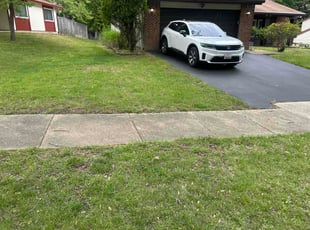 Yolanda S.'s lawn care service result