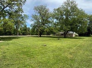 Rob S.'s grass cutting service result