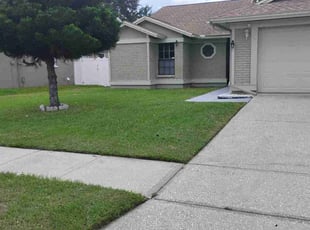 Wayne E.'s turf care service result