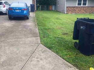 Margaret T.'s Long Grass Cleanup service result