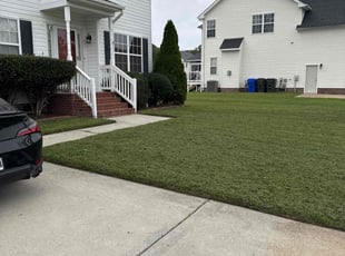 Rick C.'s lawn care services service result
