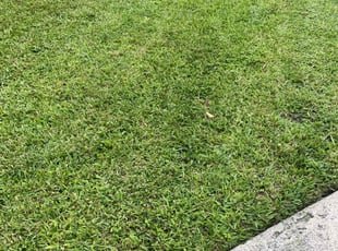 Paige H.'s lawn care services service result