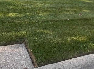 Erica W.'s lawn care services service result