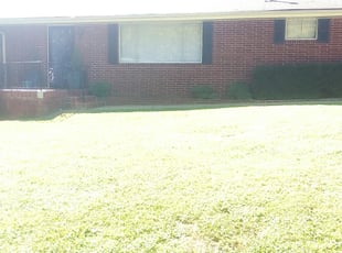 Osman O.'s Bush Trimming service result