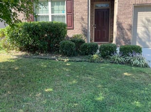 Laurie F.'s Bush Trimming service result