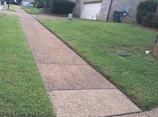 Lorraine B.'s grass maintenance service result