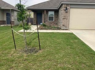 Susan B.'s turf maintenance service result