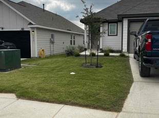 Annette J.'s lawn service service result