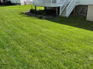 Varun D.'s turf care service result