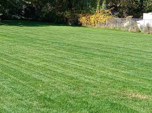 Isabel R.'s lawn maintenance service result