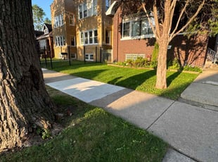Art A.'s lawn care service result