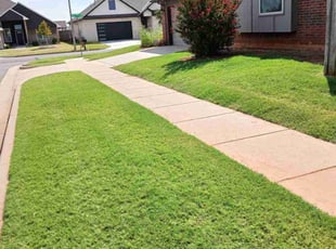 Cody W.'s turf maintenance service result