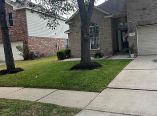 Latisha C.'s lawn care service result