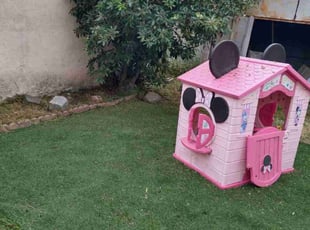 Lana T.'s lawn maintenance service result