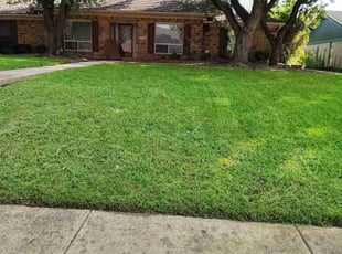 Ebony S.'s turf maintenance service result