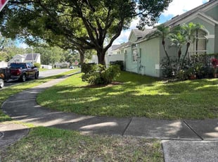 Ed G.'s yard work service result