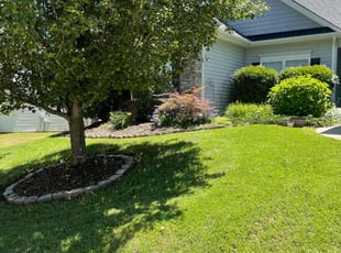 Marc B.'s turf care service result