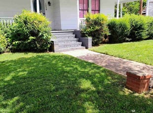 John G.'s turf care service result