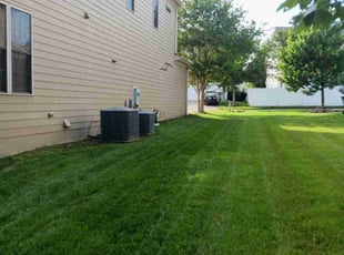 Viran P.'s lawn maintenance service result