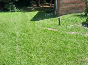 Sequoah R.'s lawn care service result